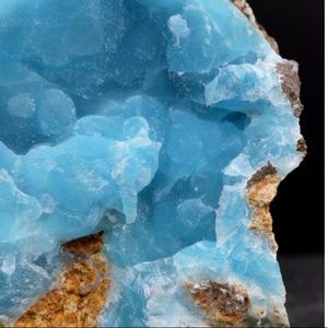 Meet your Posher, Amylynn9978